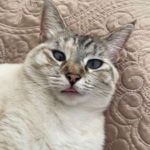 Meet your Posher, Anita